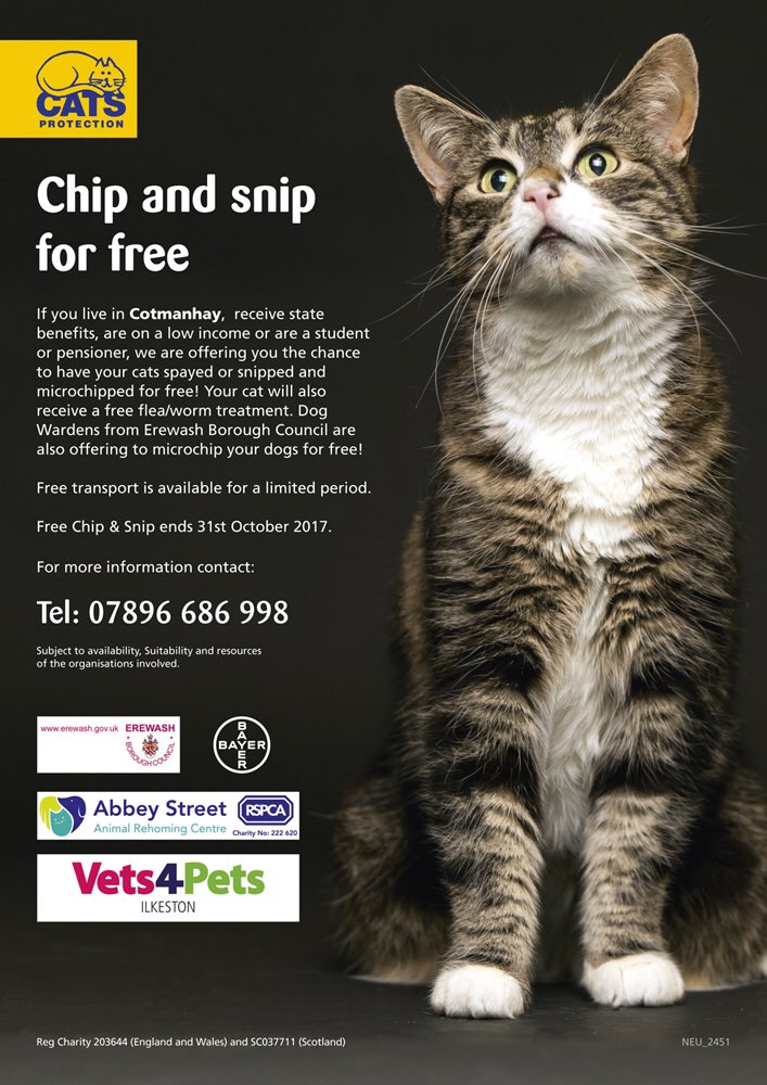 Do you live in Cotmanhay? Do you have a cat?👇🏼🐱

@_EmmaSnow really enjoyed interviewing Kerry from <a href="/RSPCADerby/">RSPCA Derby</a> and Amy from @CP_NeuterCats🙌🏼