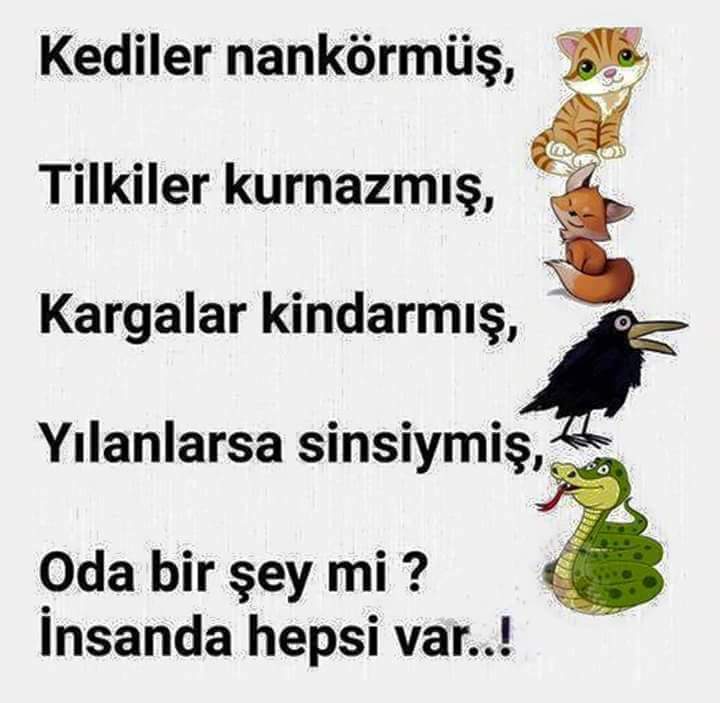 guaseguase's tweet photo. Dogasini yasar hayvan.
Sadece tasidigi hayvanin dogasini yasayanlara, tilki yada yilan gibi gorunmuyor diye; INSANmi diyelim? https://t.co/uiApUlpNXx