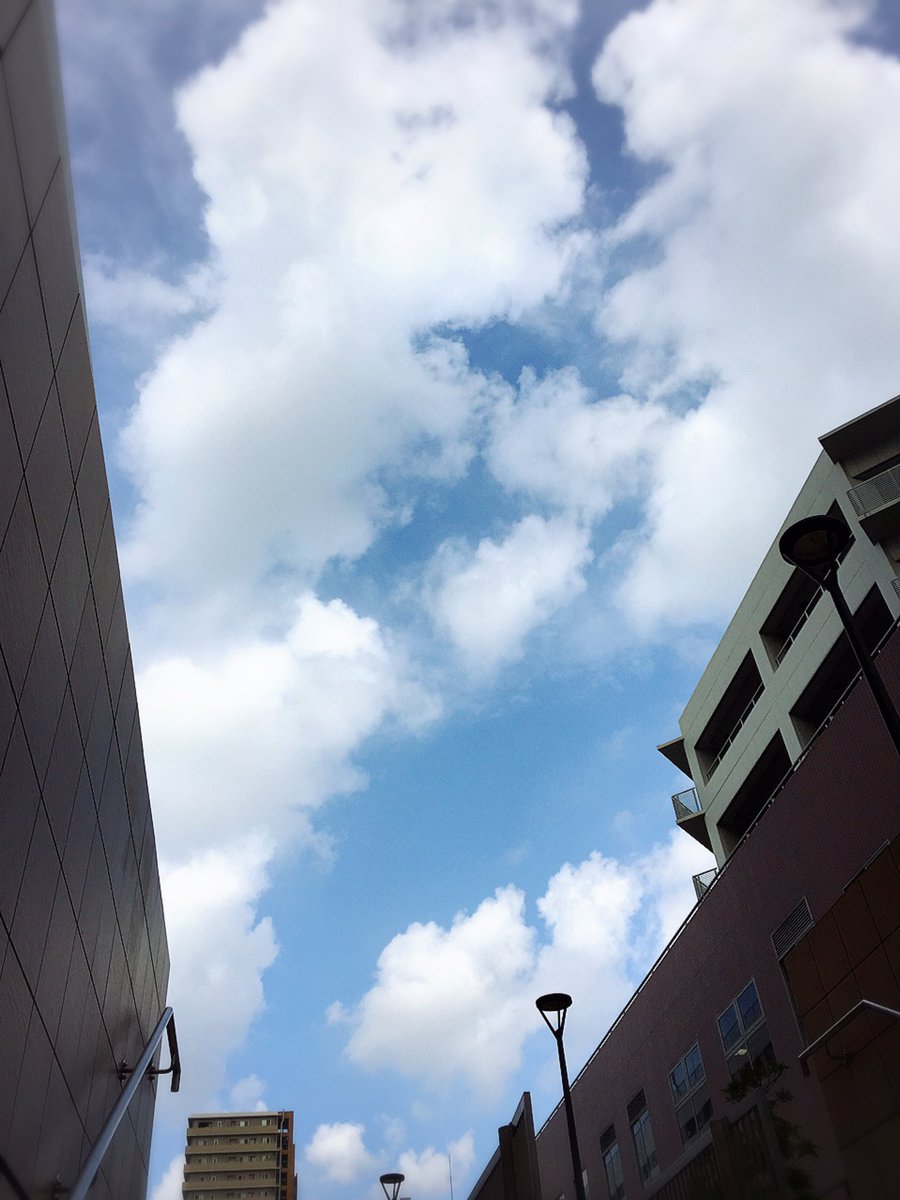 aoiaoi4444's tweet photo. 空と雲 https://t.co/vpHxyr2LrC