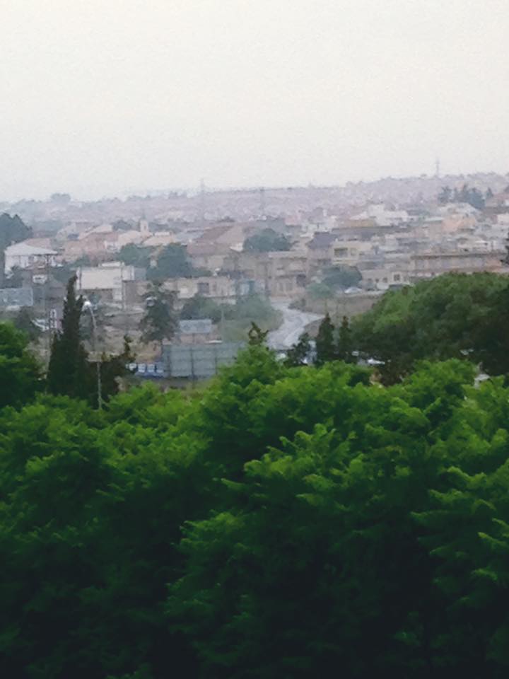 ellaesdect's tweet image. The autumm is coming.