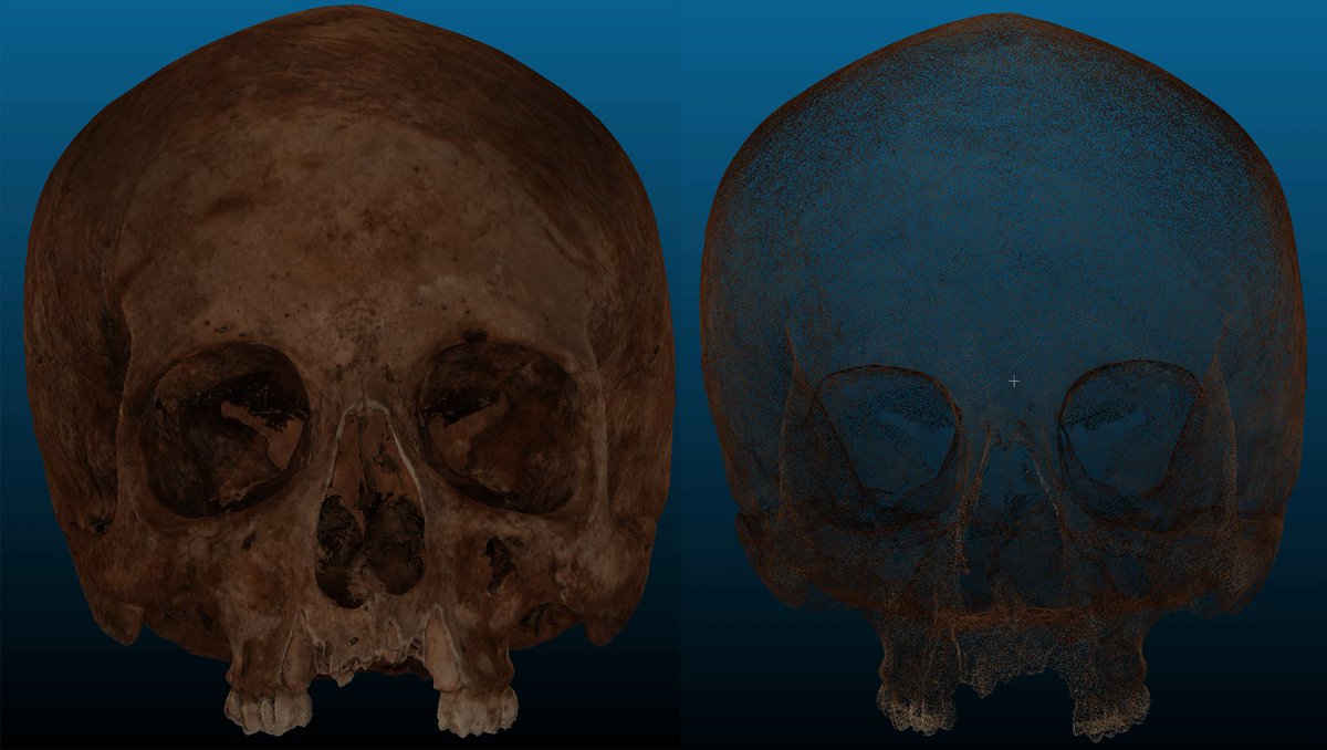 JessicaFrancesL's tweet photo. @INTREPIDForSci #9 blog post, featuring #data analysis in @CloudCompareGPL. #PhD #3Dmodels #skulls #forensics #bones
https://t.co/EEUMXMPsJJ https://t.co/VkZl8UgZmd