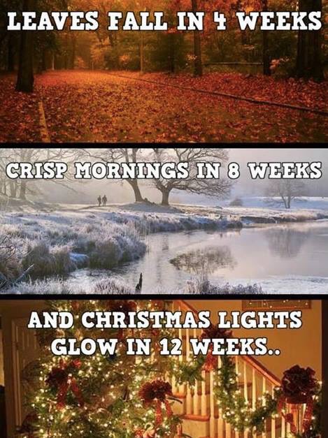Father_Xmas1's tweet photo. #HoHoHo #Christmas is coming 🎅🏻 https://t.co/skbof83zZr