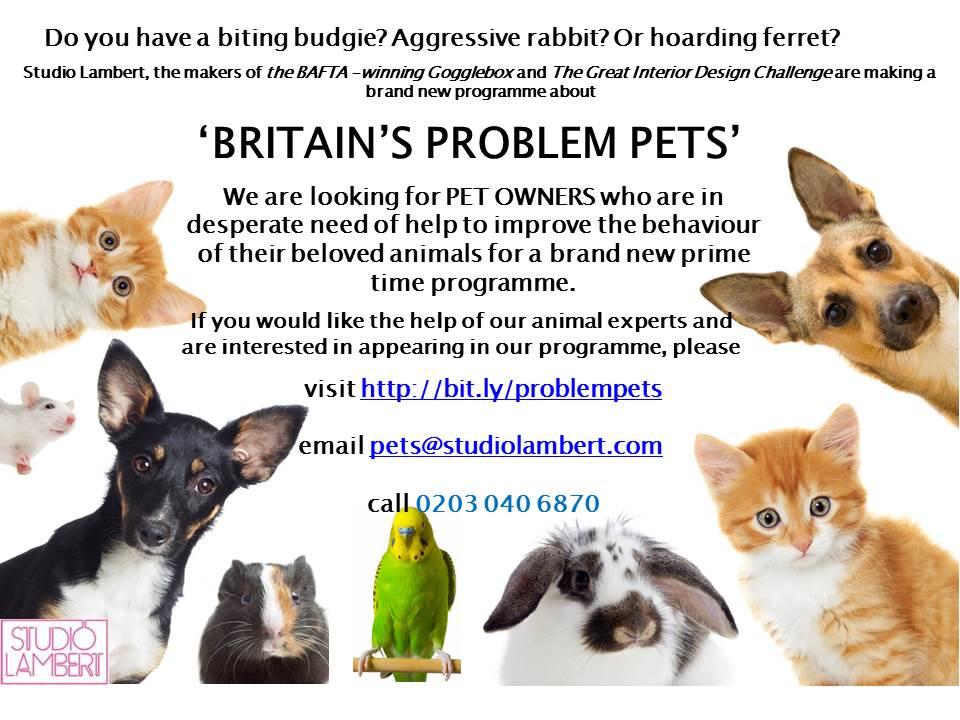 Problem_Pets tweet picture