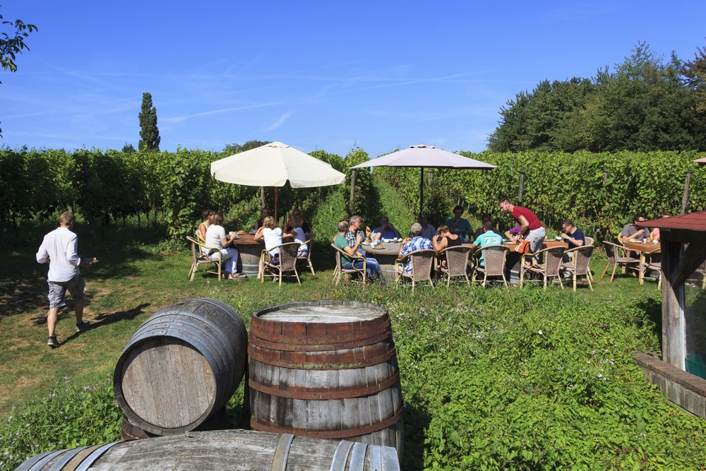 Fiets de Wijnroute Groesbeek en kom langs wijngaarden van het Wijndorp van Nederland. Bezoek ook de <a href="/Wijnfeesten/">WijnfeestenGroesbeek</a>!  > ow.ly/Q7Bb30eayPQ