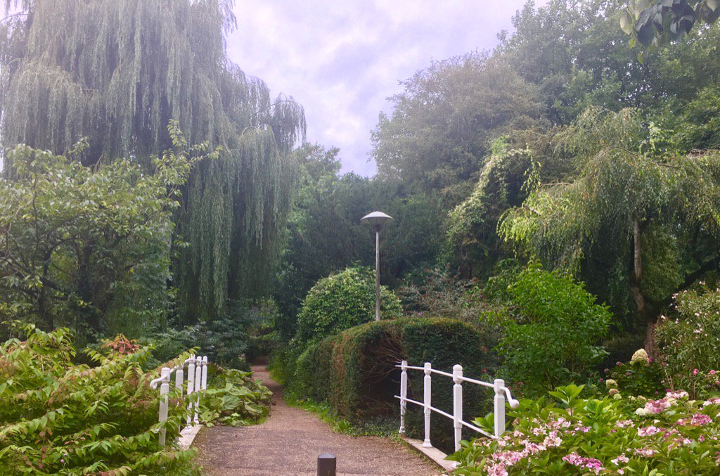 Hilde Backus tweet media