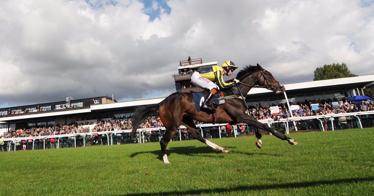 Huntingdon_Race's tweet photo. #WinItWednesday To be in with a chance of winning two tickets for any 2017 midweek fixture simply name the horse &amp; jockey.

#RacingKnowledge https://t.co/IJnnfZJCDK