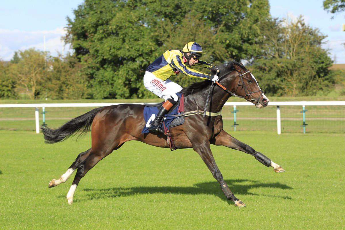 Huntingdon_Race's tweet photo. #WinItWednesday To be in with a chance of winning two tickets for any 2017 midweek fixture simply name the horse &amp; jockey.

#RacingKnowledge https://t.co/IJnnfZJCDK