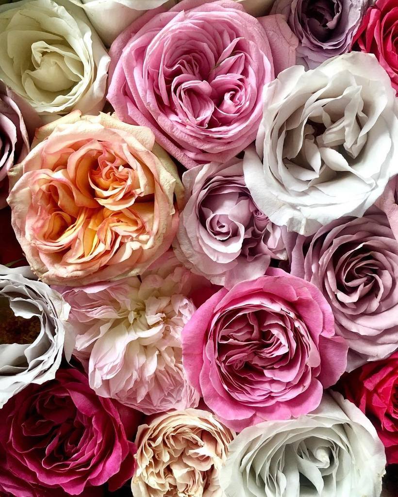 Thought we will cheer you up on this rainy day, keep warm and dry flower people 🌸✌️ .
.
#seasonallondonblooms #rai… ift.tt/2x4tbdw