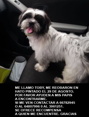 _moncho_'s tweet photo. @EddyVasquezWao @tvnpanama @tvnnoticias @rpctvpanama @AlvaroAlvaradoC @limyueng https://t.co/YuxdUT5RVB