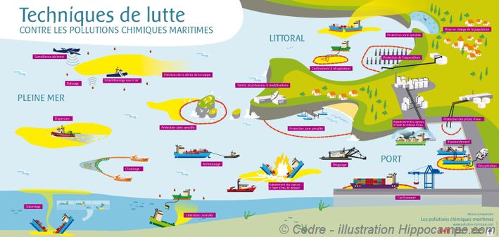 vivelesSVT's tweet photo. Accéder aux posters librement expédiés par le @CedreBrest https://t.co/73FC8XLSNW #MerEduc17 Merci! https://t.co/lJ16XxdxnS