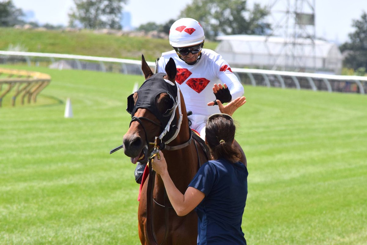 ONTRacing's tweet photo. Six yearling sales stakes tonight @WoodbineRacing. First post 6:45 p.m. Photo by @mrwillw. #Horses #HorseRacing https://t.co/CgZ2MwEbwQ