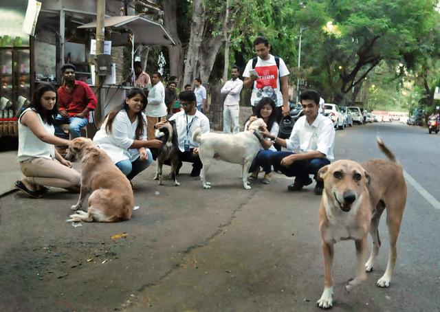IdogsOnline's tweet photo. KNOW YOUR RIGHTS AS AN ANIMAL LOVER LOOKING AFTER STRAYS IN INDIA
https://t.co/IVZsCf1bf1

#idogs https://t.co/xRsnIlPJAc