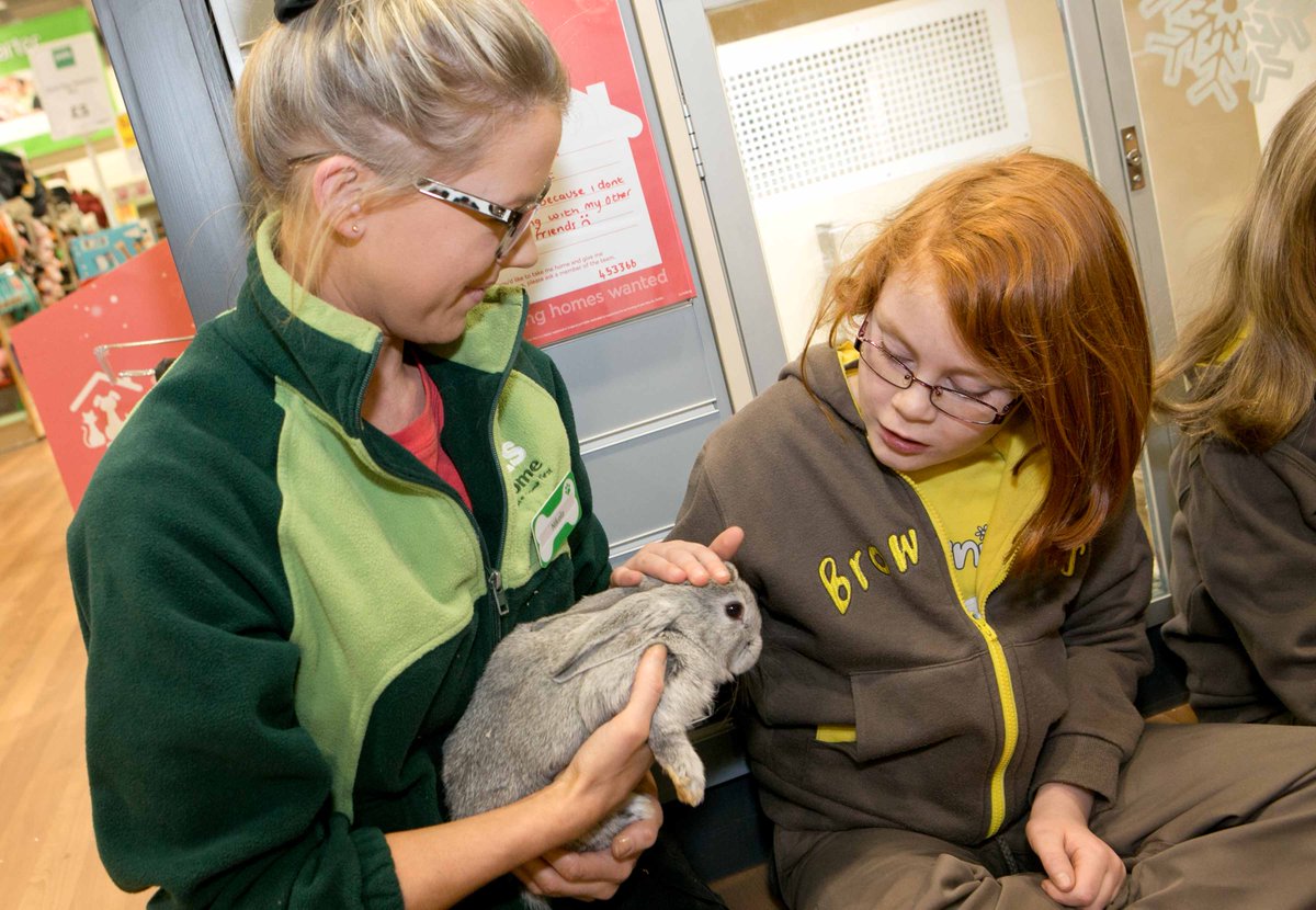Girlguiding's tweet photo. Planning this term’s activities? How about a trip to @PetsAtHome for a free My Pet Pals pet workshop? https://t.co/6On5cz3ZfF https://t.co/hvXGncit09
