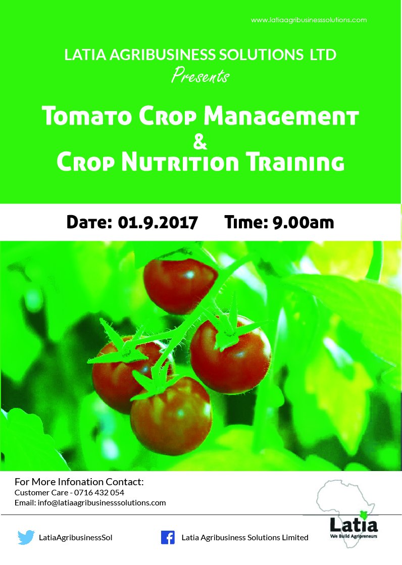 Tomato Cultivation, Information about Tomato Plantation...COME GET TRAINED! docs.google.com/forms/d/e/1FAI…  #farmingiscool