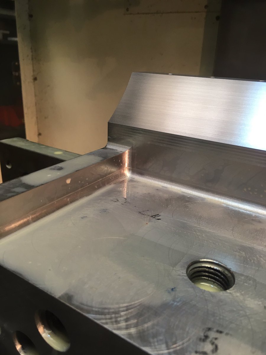 Birds Precision tweet media