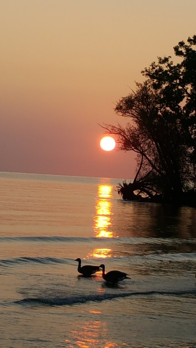 RareCat's tweet photo. #Dawn @MikeCatalana @whec_rcaniglia @SenatorRobach @BrotherWease @writerdiehl @BarryVee @wxbywilliams @tpmedia @zburatorul @jlam @rmccollo😎 https://t.co/u30q6lUxIG