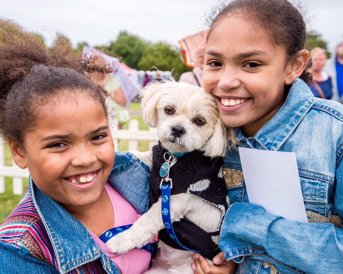 pupaid's tweet photo. Only 3 days until #pupaid2017 fun dog show raising awareness of puppy farming &amp; rescue pet adoption :) #wheresmum #adopt #PrimroseHill https://t.co/ZhrmPeTUoF
