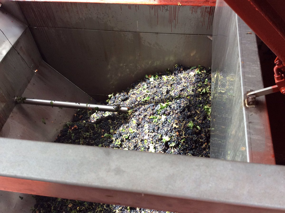 Spanish Wine Lover tweet media