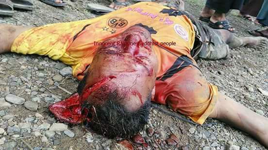 Human Right you say.
Our nationality are fighting,
burning and killing by Rohingya
Terrterrorist .Where is Human Right for this people?