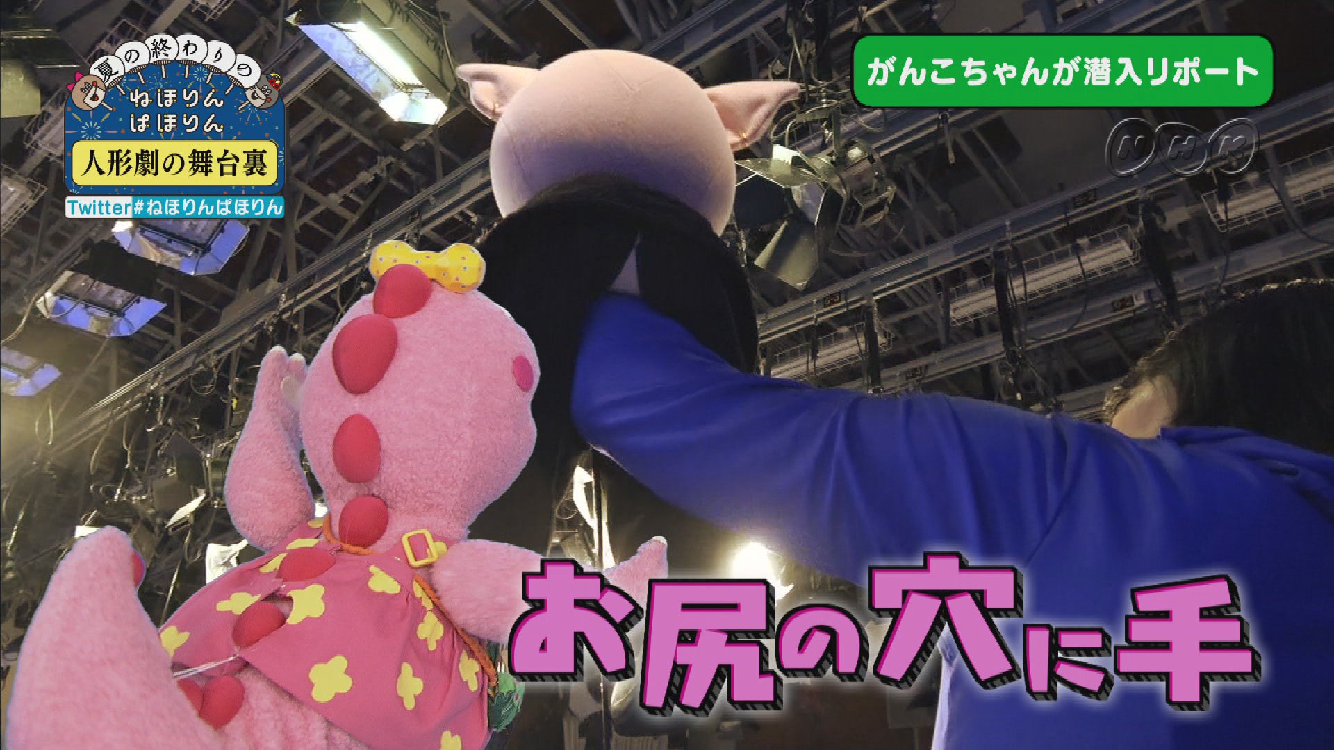 Nhk ねほりんぱほりん V Twitter 初公開 人形劇の舞台裏 モグラやブタの人形がどう動いているのか ﾅｶﾉﾋﾄﾅﾄﾞｲﾅｲという定説を打ち破るリポートをしてくれるのは ざわざわ森のがんこちゃん 恐竜の女の子ならではの視点で切り込みます 9 1 金 総合テレビ夜10時