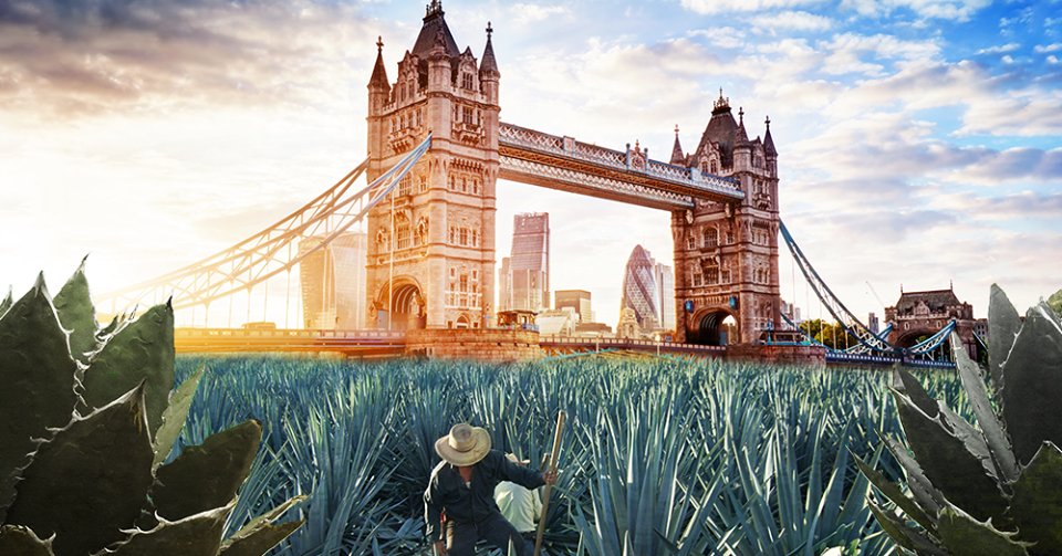 DesignMyNight's tweet photo. Who loves #tequila? RT &amp; follow us to #win 2 tickets to this year's @tequilafestuk &amp; over £100 worth of booze #comp https://t.co/Vl2kJAsLGm https://t.co/ZuzkVN97Ns