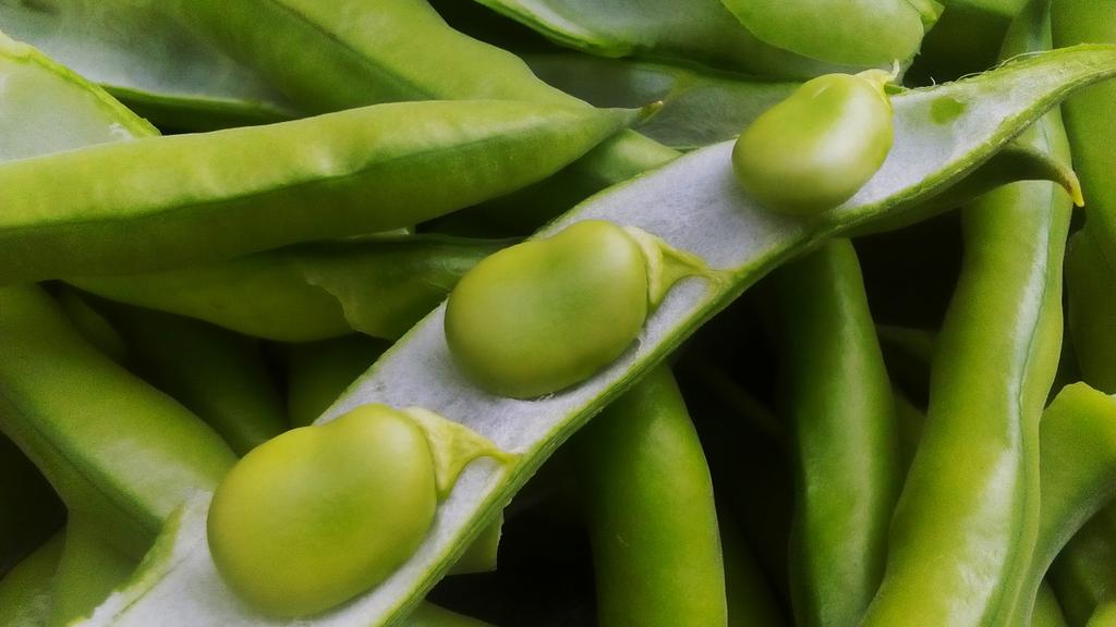Karoux22's tweet photo. Broad beans from our veggie patch @Karoux22 @RyanJosten #broadbeanjus https://t.co/DaEuypCkdw