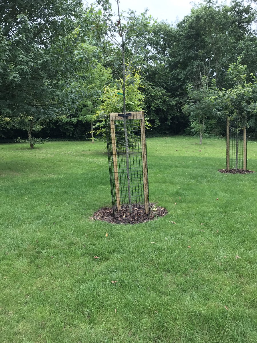 nelly9691's tweet photo. It took a while but credit where it's due, good job done @unitedutilities Thank you! #swallowfields #chadderton ๐ณ๐ฟ๐๐พ๐ https://t.co/U8EccnDVjr