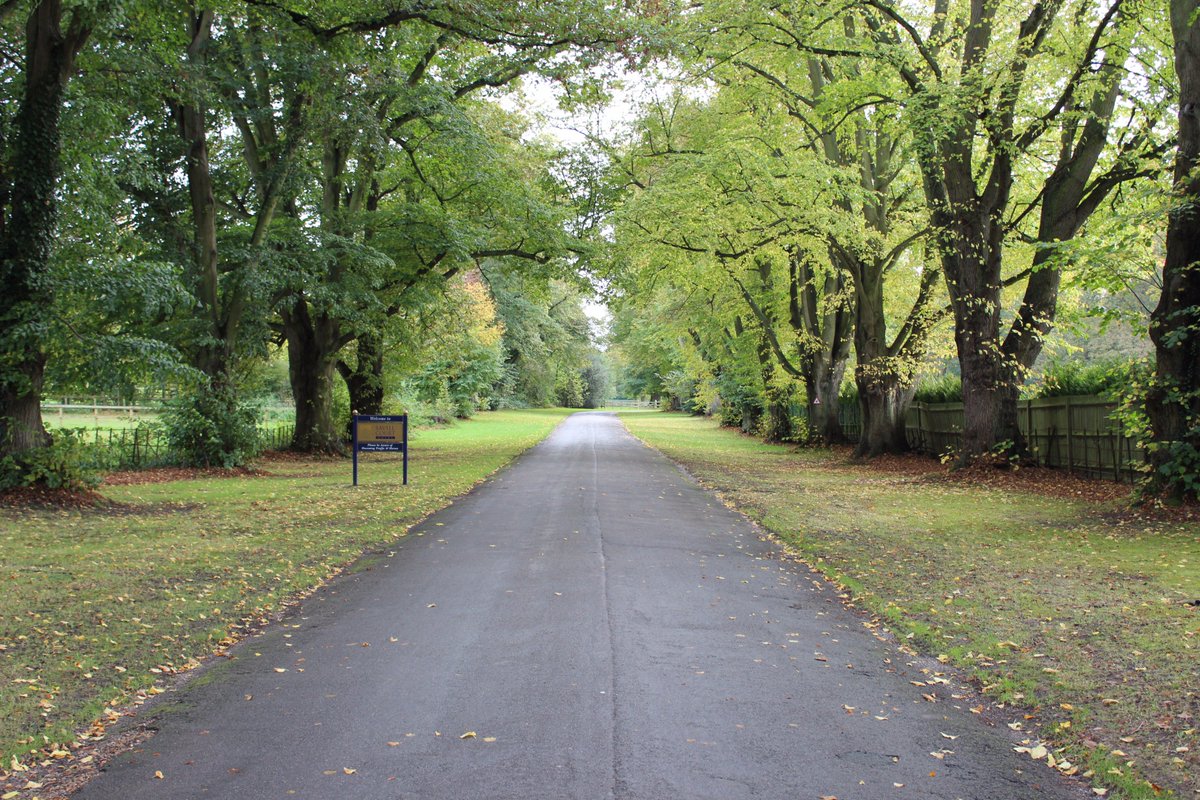 Savill Court Hotel tweet media