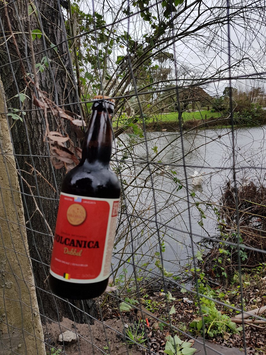 mageacd's tweet image. Cuando el viento se pone bravo 😂😂