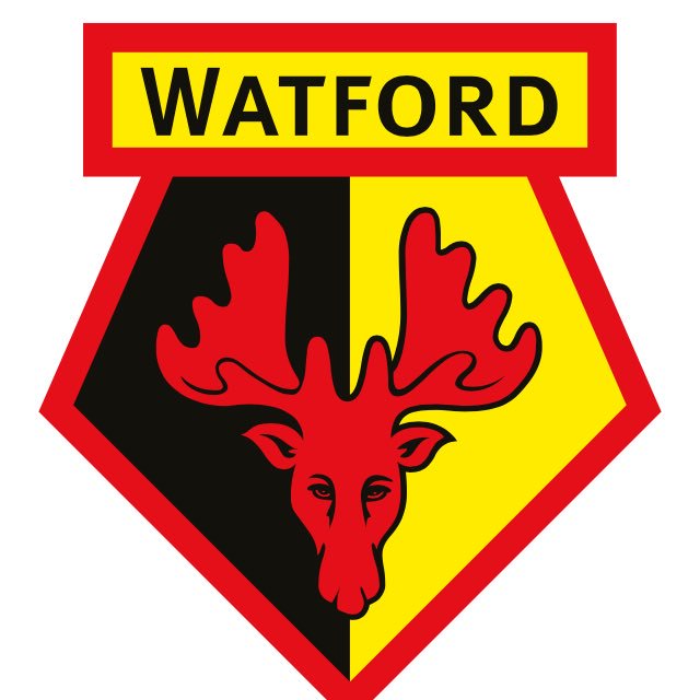 Transfermarkt4's tweet photo. Marvin Zeegelaar krijgt vermoedelijk toch een transfer. Volgens Watford Observer is Watford "zeer geïnteresseerd". https://t.co/y1JcvA5WWg