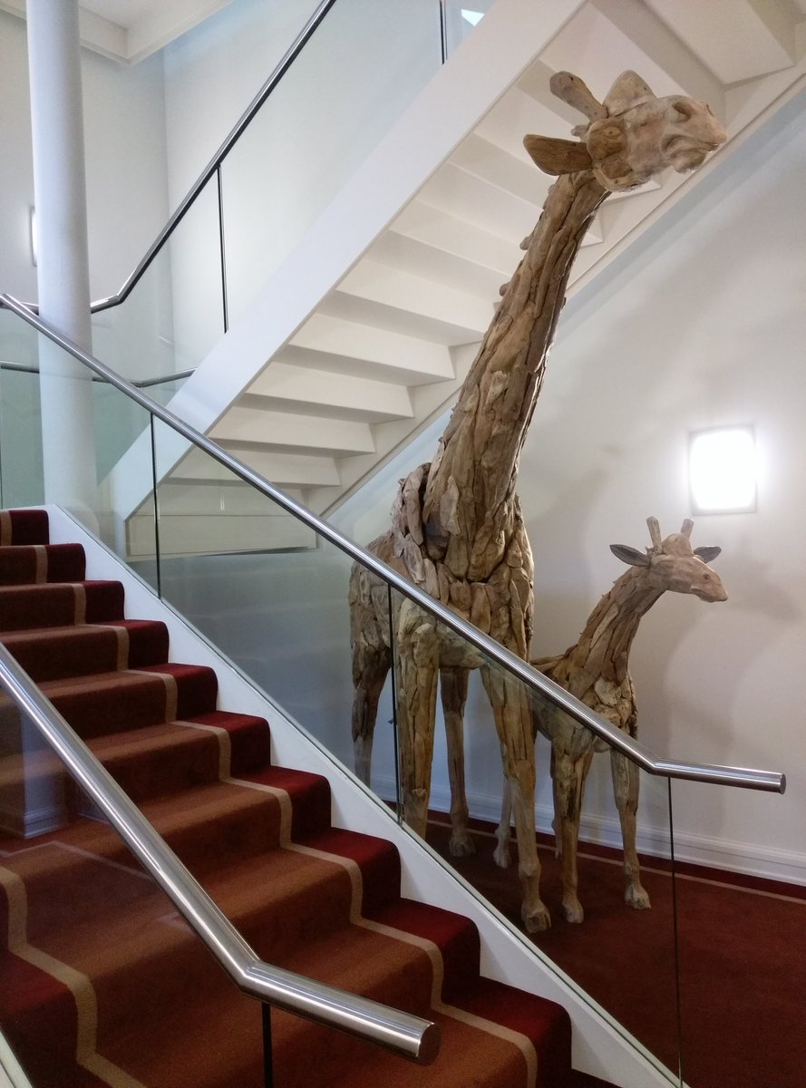 6 more sleeps and then I get to hang around with my friends again <a href="/CastlemartyrRes/">Castlemartyr Resort</a> #5star #luxury #travel #family 😍