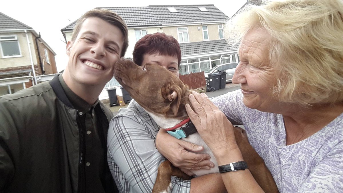 BrummieHayden's tweet photo. #Mollyishome Tonight at 6pm on @madeinbhamtv, the heartwarming moment Molly the dog is reunited with @RosedeneRescue. 🐶 https://t.co/mShrTSfbdl
