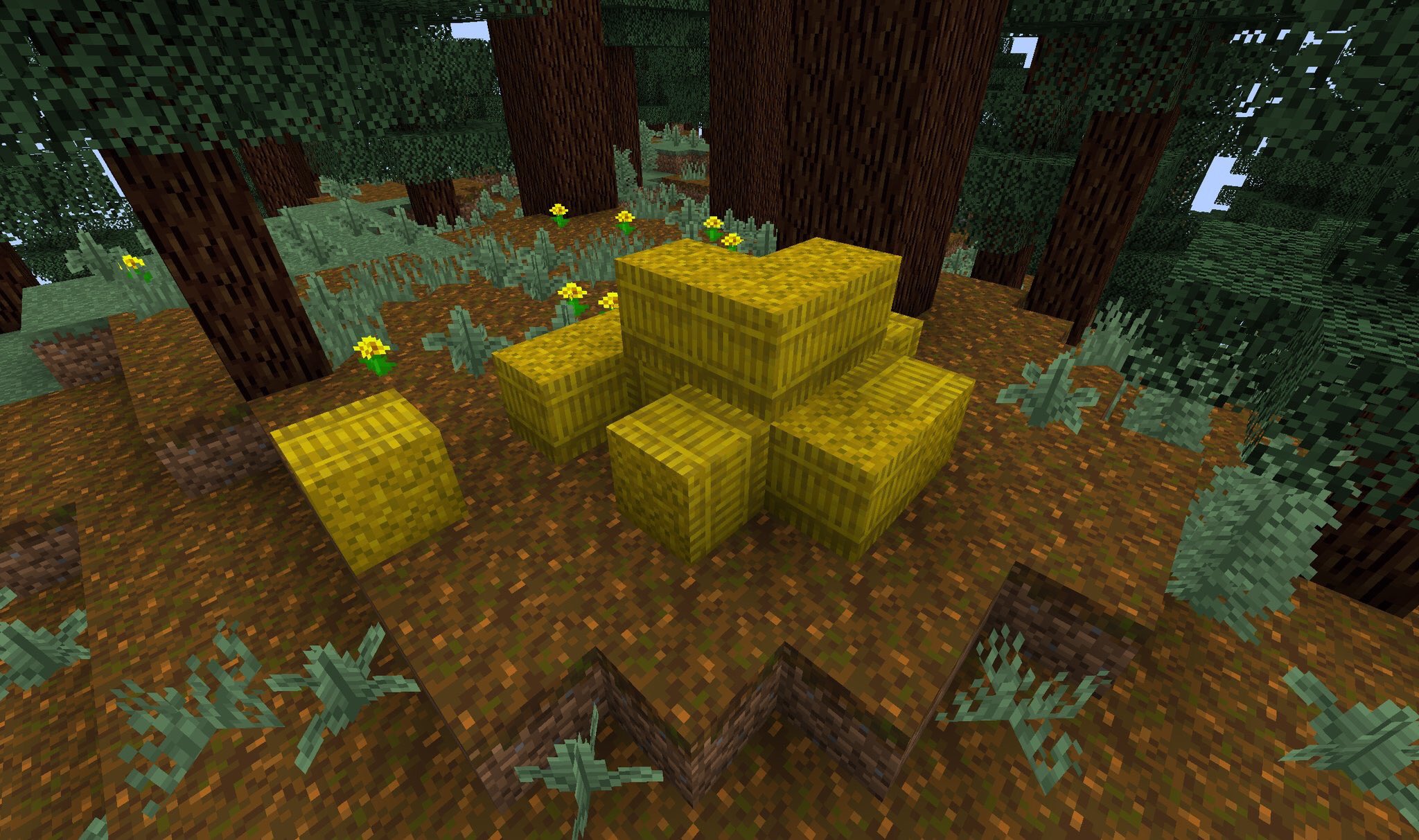 Twitter 上的minecraft News Experimental Textures For Hay Bales Podzol And Ferns For Minecraft Java Edition Good Job Jasperboerstra T Co Zyjjm8mpvn Twitter