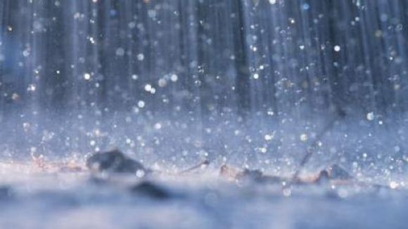 Ajuntament de Palafolls tweet media