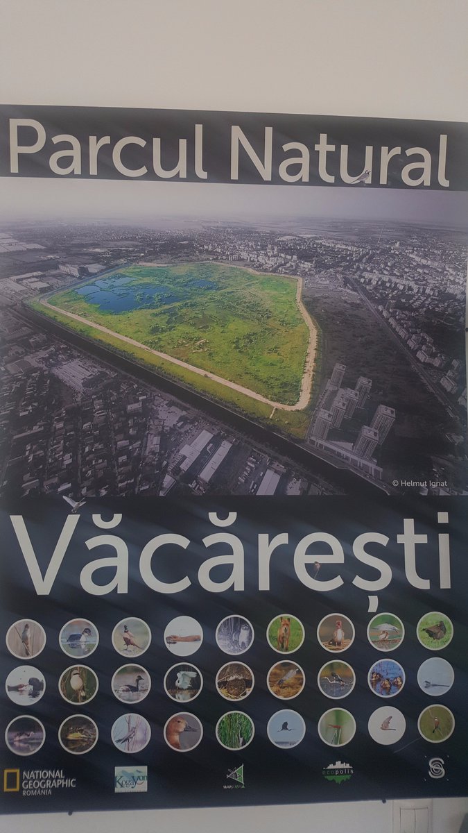 mdemuzere's tweet photo. The world needs more Vlad's. He fought for 10 years to turn #Vacaresti into #NationalParque https://t.co/Ml1oqCLmiM #perseverance #inspiring https://t.co/2wQPaU3mEi