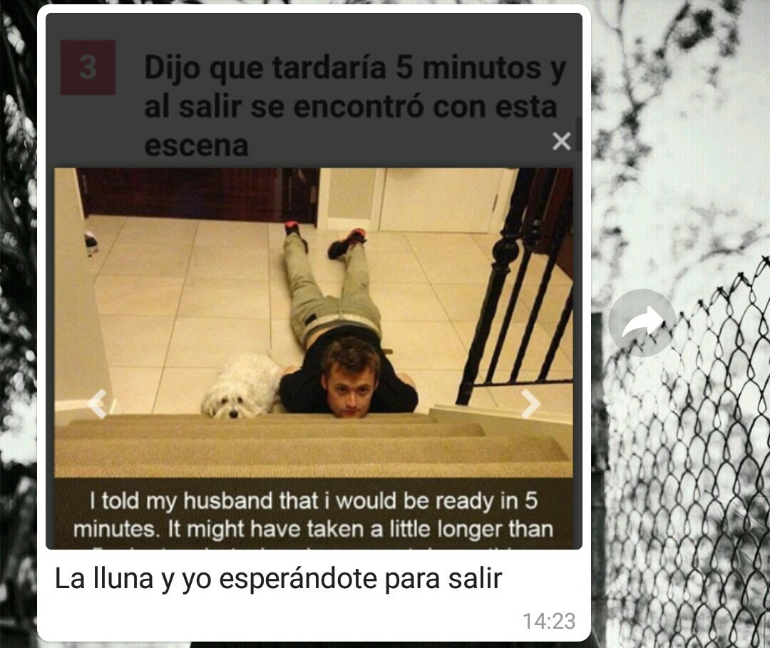 mariadosmilseis's tweet photo. A mí me acaban de matar con esto 🙆😂 #mejornoviodelmundo https://t.co/isdNEZ72lM