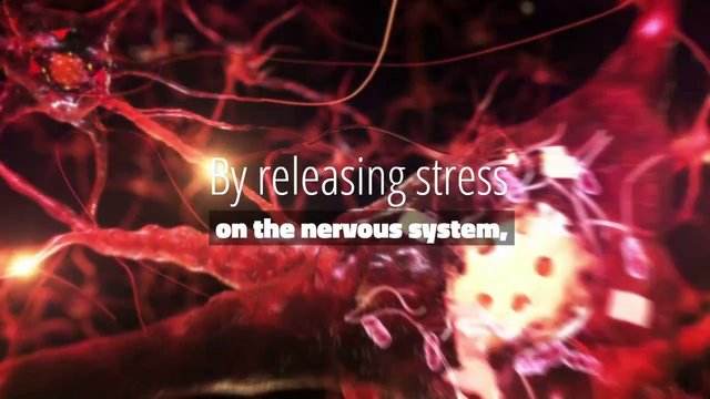 CoreSpineWellne's tweet photo. There is nothing greater then having an amazing nervous system. Visit: https://t.co/8IB84C4PBt for an appointment https://t.co/t5kWauLLHV https://t.co/vGegsoET3t
