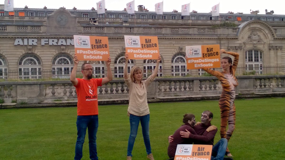 CathHours's tweet photo. "Pas de singes en soute!" Protestation aux Invalides pour demander à Air France la fin du transport de singes de laboratoires https://t.co/RipPKvtPm2