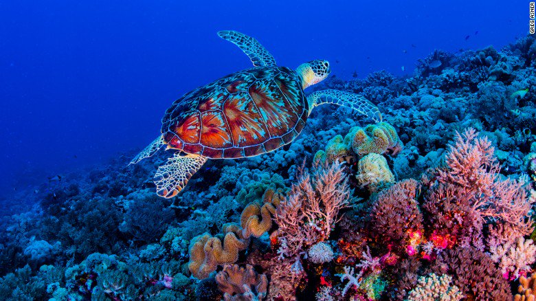 CNNTravel tweet picture