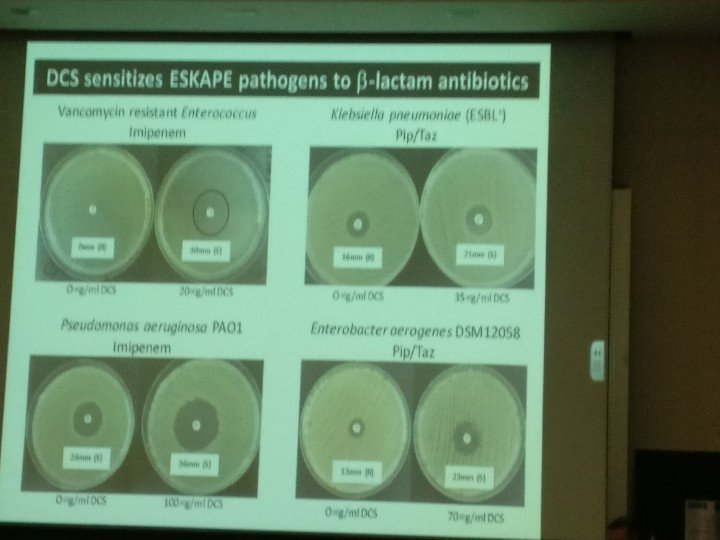 MicrobiolNews's tweet photo. Fantastic talk by James O'Gara on resensitizing bacteria to antibiotics. #AMROneHealth17 https://t.co/vJMsLz7NPd