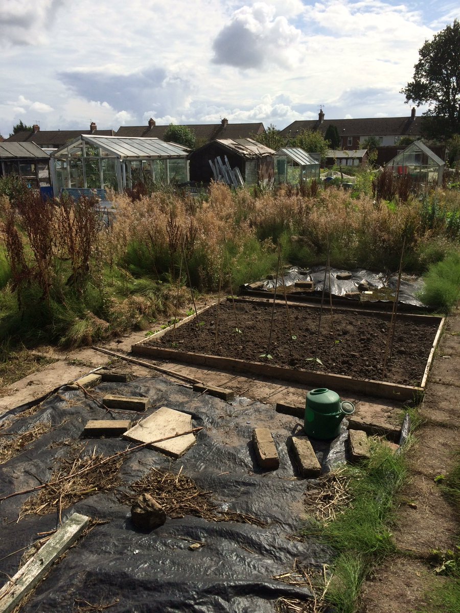 secret_yardens's tweet photo. Turing out to be a lovely afternoon. Some allotment time, the clearing is coming along. From humble starts, great things come #Plot5 https://t.co/NPJ0LJ2yOH