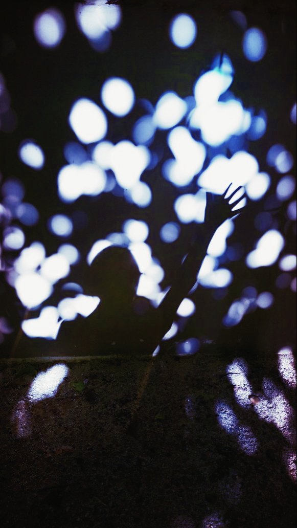 merrynsun's tweet photo. light 빛 

햇살, 빛살..

너에게로 닿다, 나에게로 닿다

#일상 #오후 #햇살 #햇빛
#빛 #빛살 #나 #셀카 #셀피
#그림자 #실루엣 #그림자사진
#포토 #산책 #photo #light
#sun #sunshine #me
#warm https://t.co/gLutzrNZl3