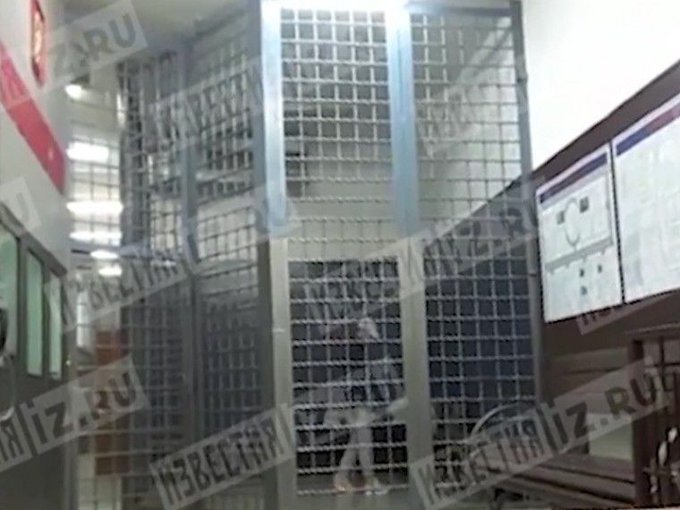 View image on Twitter