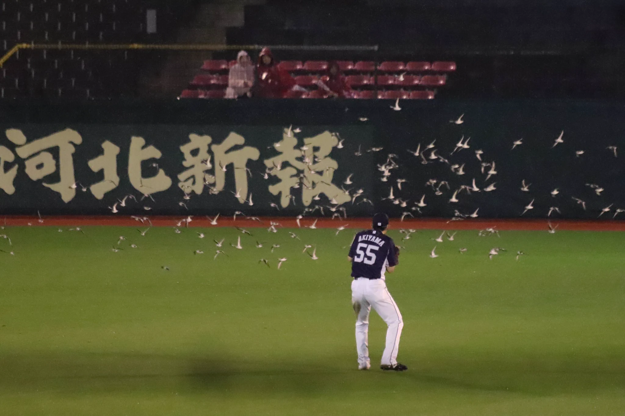 野球やる環境じゃないｗ選手たちが鳥に襲撃されるｗｗｗ
