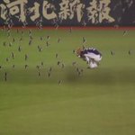 野球やる環境じゃないｗ選手たちが鳥に襲撃される!