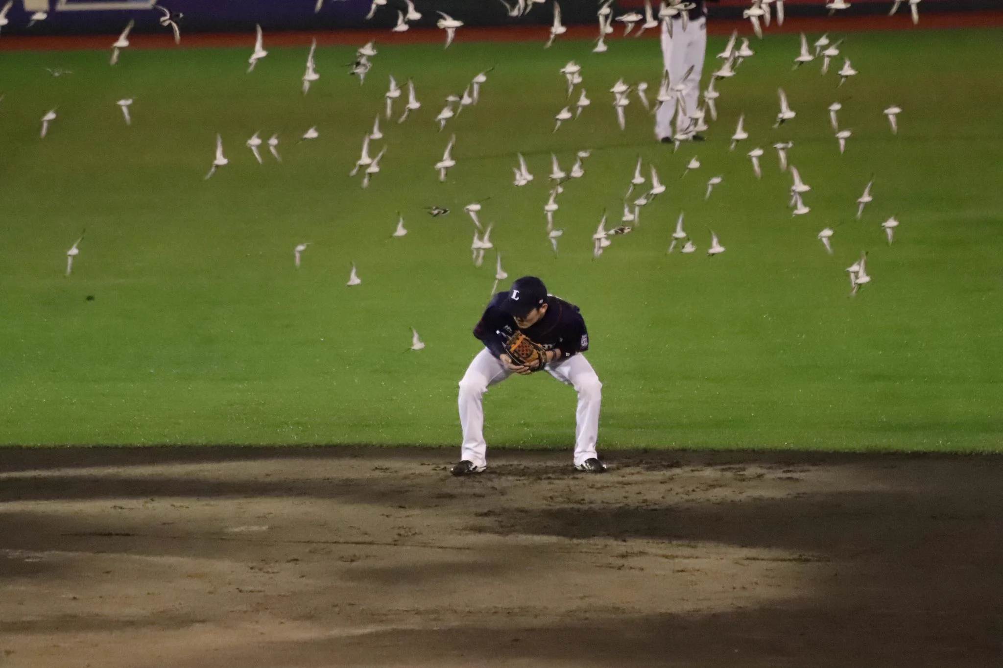 野球やる環境じゃないｗ選手たちが鳥に襲撃されるｗｗｗ