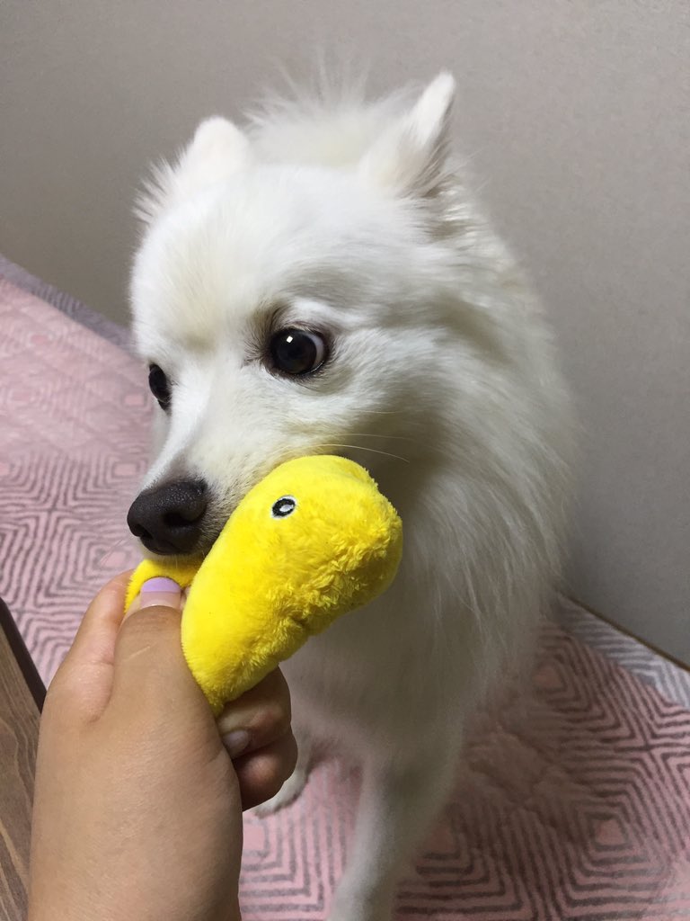 jogabi__'s tweet photo. @nerodognero ㅠ0ㅠ근데 언니 아이폰이나 미러리스나 그게 그거인 거 같기도해여(막눈 https://t.co/iQQwZRVMCo