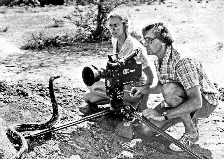 Todd__Matthews's tweet photo. Balls of steel!  Just heard that the great #AlanRoot passed.  Grew up enjoying his work: 
https://t.co/m9XEDJuiIQ
#Film #Documentary #Cinema https://t.co/PooQOSQOoO