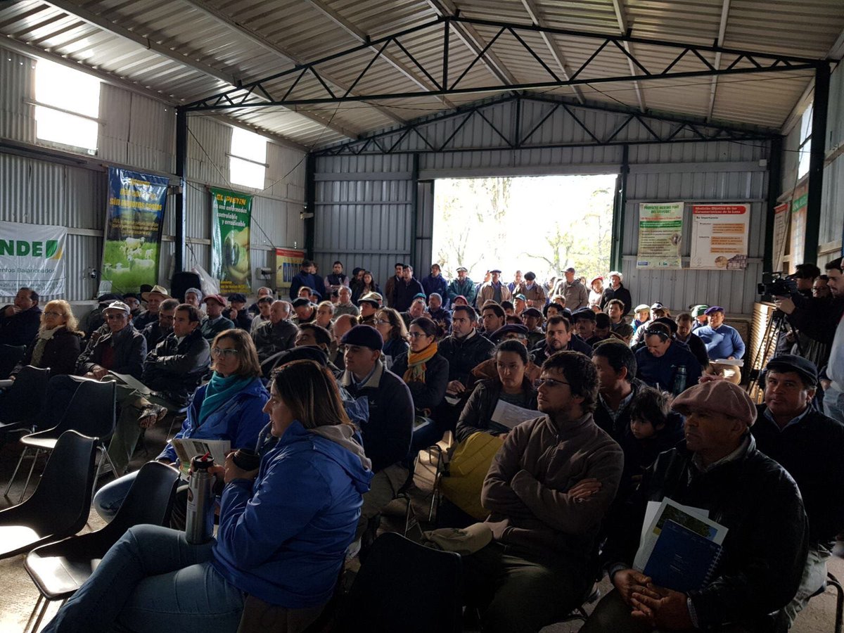 Excelente concurrencia en la 3º jornada de Tecnologías Modernas para la Producción Ovina en CICOMA - Colonia Lavalleja, Salto