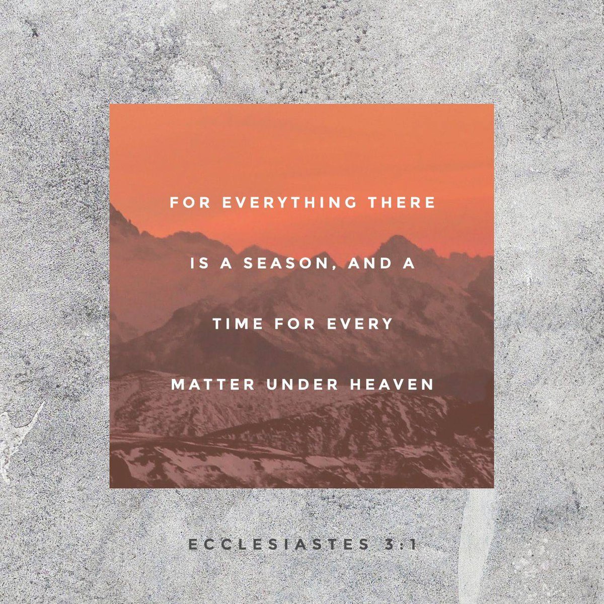 thepointIN's tweet photo. There is a time for everything, and a season for every activity under the heavens:
Ecclesiastes 3:1 NIV

#VOTD https://t.co/I1fBSQPB8s